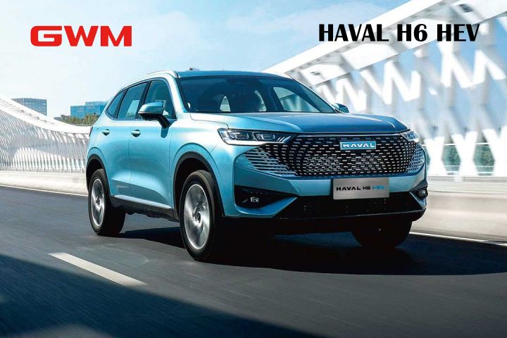 haval h6 hev